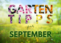 GartenTipps_September